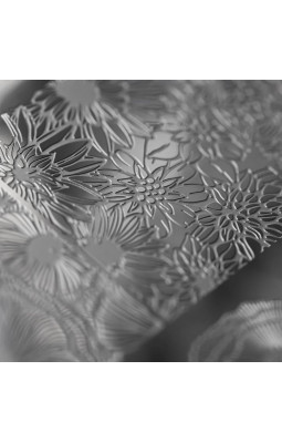 Пластина для стемпинга ParisNail PNS-06-foto2